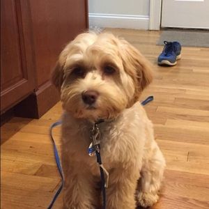 Meet your Posher, Julia